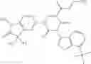 Fig. 210 - Bicyclically substituted uracils and the use thereof