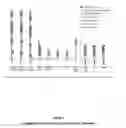Fig. 02 - METHOD FOR PROMOTING WOUND HEALING BY ADMINISTERING A COMPOUND WHICH BINDS LDL-RECEPTOR-RELATED PROTEIN (LRP) LIGAND BINDING DOMAIN