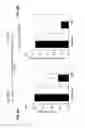 Fig. 07 - Use of negative modulators of GABA receptors containing alpha5 subunits as fast acting antidepressants