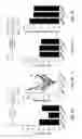 Fig. 08 - Use of negative modulators of GABA receptors containing alpha5 subunits as fast acting antidepressants