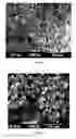 Fig. 04 - Topical nanodrug formulation