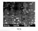 Fig. 05 - Topical nanodrug formulation