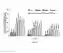 Fig. 06 - TOPICAL PHARMACEUTICAL COMPOSITIONS