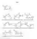 Fig. 02 - METHODS FOR SCREENING ANTIMICROBIAL AND ANTIVIRAL COMPOUNDS AND USES THEREOF