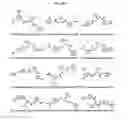 Fig. 07 - METHODS FOR SCREENING ANTIMICROBIAL AND ANTIVIRAL COMPOUNDS AND USES THEREOF
