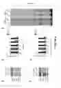 Fig. 06 - METHODS OF TREATING GLAUCOMA USING AMP-ACTIVATED PROTEIN KINASE (AMPK) ACTIVATORS