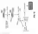 Fig. 14 - METHODS OF TREATING GLAUCOMA USING AMP-ACTIVATED PROTEIN KINASE (AMPK) ACTIVATORS