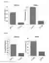 Fig. 06 - Silicon-containing biodegradable material for anti-inflammatory therapy