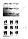 Fig. 19 - and composition comprising same