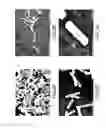 Fig. 04 - and application thereof