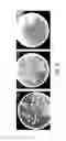 Fig. 06 - and application thereof