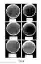 Fig. 07 - and application thereof