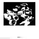 Fig. 02 - ANALGESIC COMPOSITIONS AND METHODS OF USE