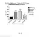 Fig. 08 - Neuropeptide analogs, compositions, and methods for treating pain