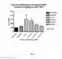 Fig. 09 - Neuropeptide analogs, compositions, and methods for treating pain