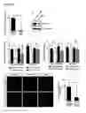 Fig. 06 - COMPOSITIONS AND METHODS FOR THE TREATMENT OR PREVENTION OF NEURODEGENERATIVE DISORDERS
