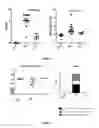 Fig. 06 - Interleukin-2 for treating food allergy