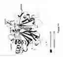 Fig. 19 - Compositions and methods for using toxin to induce or enhance an immune response
