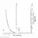 Fig. 22 - Compositions and methods for using toxin to induce or enhance an immune response