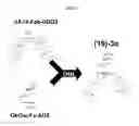 Fig. 02 - Combination therapy for inducing immune response to disease