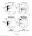 Fig. 02 - Carrier-antibody compositions and methods of making and using the same