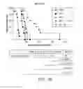Fig. 10 - Carrier-antibody compositions and methods of making and using the same