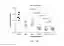 Fig. 12 - Carrier-antibody compositions and methods of making and using the same