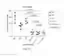Fig. 29 - Carrier-antibody compositions and methods of making and using the same