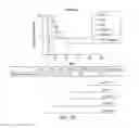 Fig. 30 - Carrier-antibody compositions and methods of making and using the same
