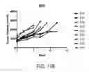 Fig. 40 - Carrier-antibody compositions and methods of making and using the same