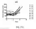 Fig. 41 - Carrier-antibody compositions and methods of making and using the same
