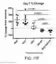 Fig. 44 - Carrier-antibody compositions and methods of making and using the same