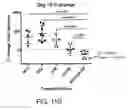 Fig. 45 - Carrier-antibody compositions and methods of making and using the same