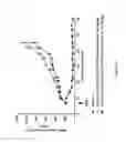 Fig. 07 - SPECIFIC SITES FOR MODIFYING ANTIBODIES TO MAKE IMMUNOCONJUGATES