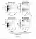 Fig. 02 - Carrier-antibody compositions and methods of making and using the same