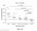 Fig. 09 - Carrier-antibody compositions and methods of making and using the same