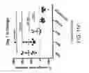 Fig. 44 - Carrier-antibody compositions and methods of making and using the same