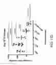 Fig. 45 - Carrier-antibody compositions and methods of making and using the same