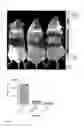 Fig. 16 - Compositions for introducing RNA into cells