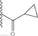 Fig. 06 - Rapamycin 40-O-cyclic hydrocarbon esters, compositions and methods
