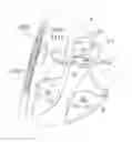 Fig. 01 - Heart help device, system, and method