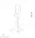 Fig. 19 - Cannula ingress system