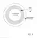 Fig. 09 - ILLUMINATED MEDICAL INFUSION WITH INLINE COMPONENTS