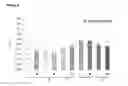 Fig. 06 - Nebultzation of immunoglobulin