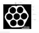 Fig. 01 - BIOLOGICAL SAMPLING PLATFORM AND PROCESSES FOR MAKING AND USING SAME