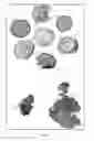 Fig. 09 - BIOLOGICAL SAMPLING PLATFORM AND PROCESSES FOR MAKING AND USING SAME
