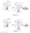 Fig. 22 - Electrode system for electrical stimulation