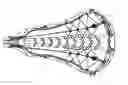 Fig. 01 - LACROSSE STICK HEAD WITH PROTECTED STRING ATTACHMENT FEATURE