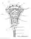 Fig. 02 - LACROSSE STICK HEAD WITH PROTECTED STRING ATTACHMENT FEATURE