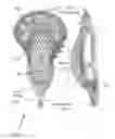 Fig. 01 - 3D PRINTED LACROSSE HEAD